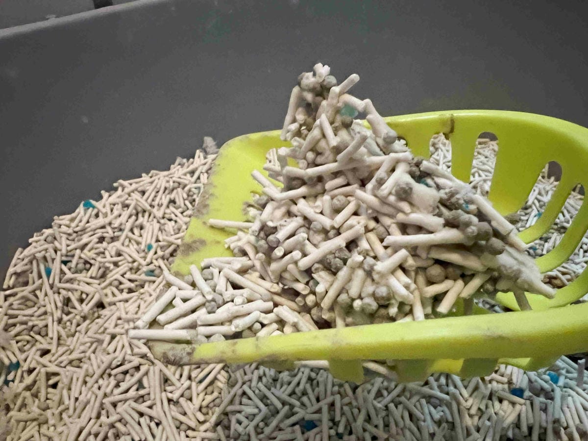 妮可露貓砂 (38).jpg 妮可露貓砂 (38).jpg