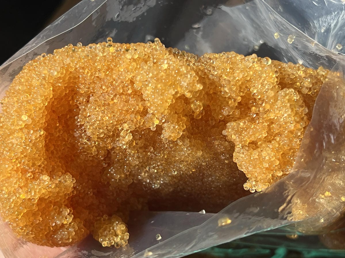 母湯鍋物 (39).JPG 母湯鍋物 (39).JPG