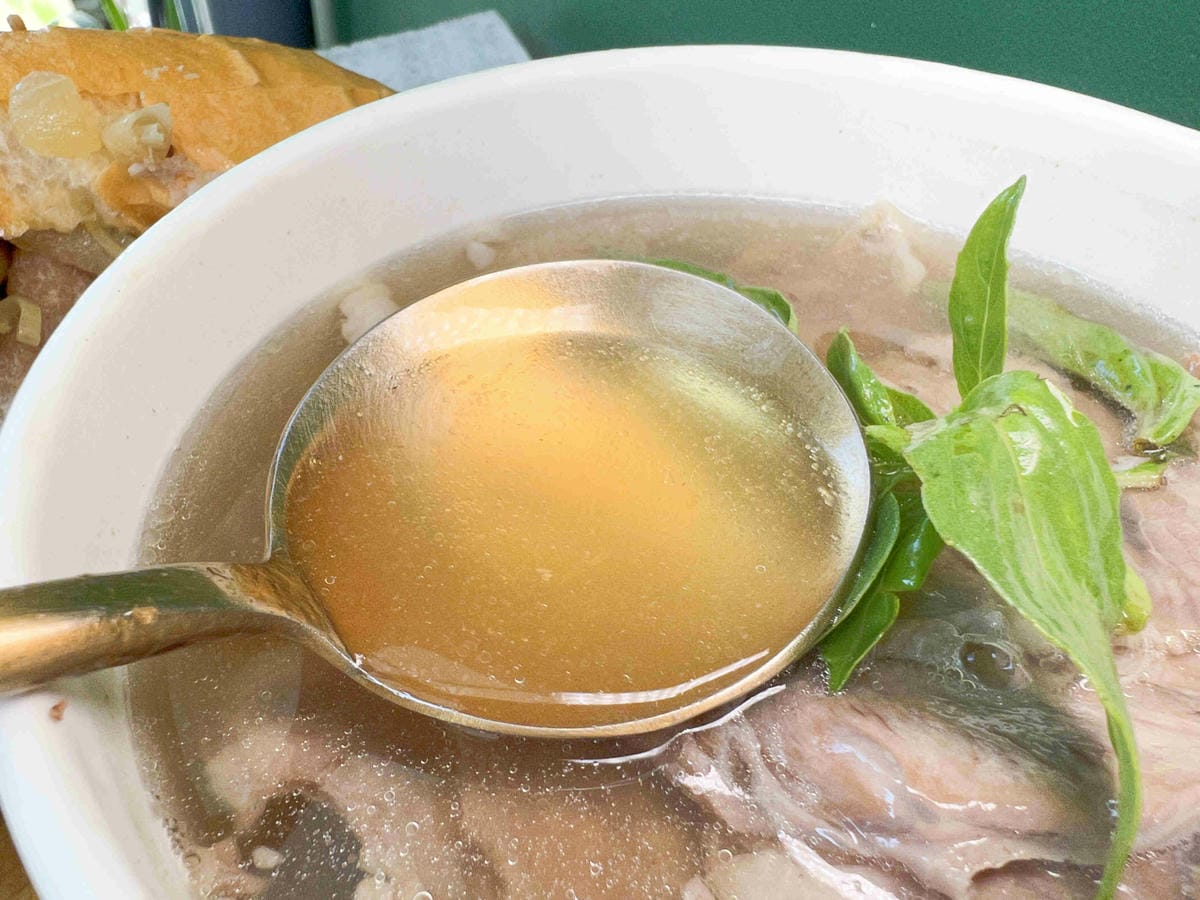 NEMO (25).jpg NEMO (25).jpg