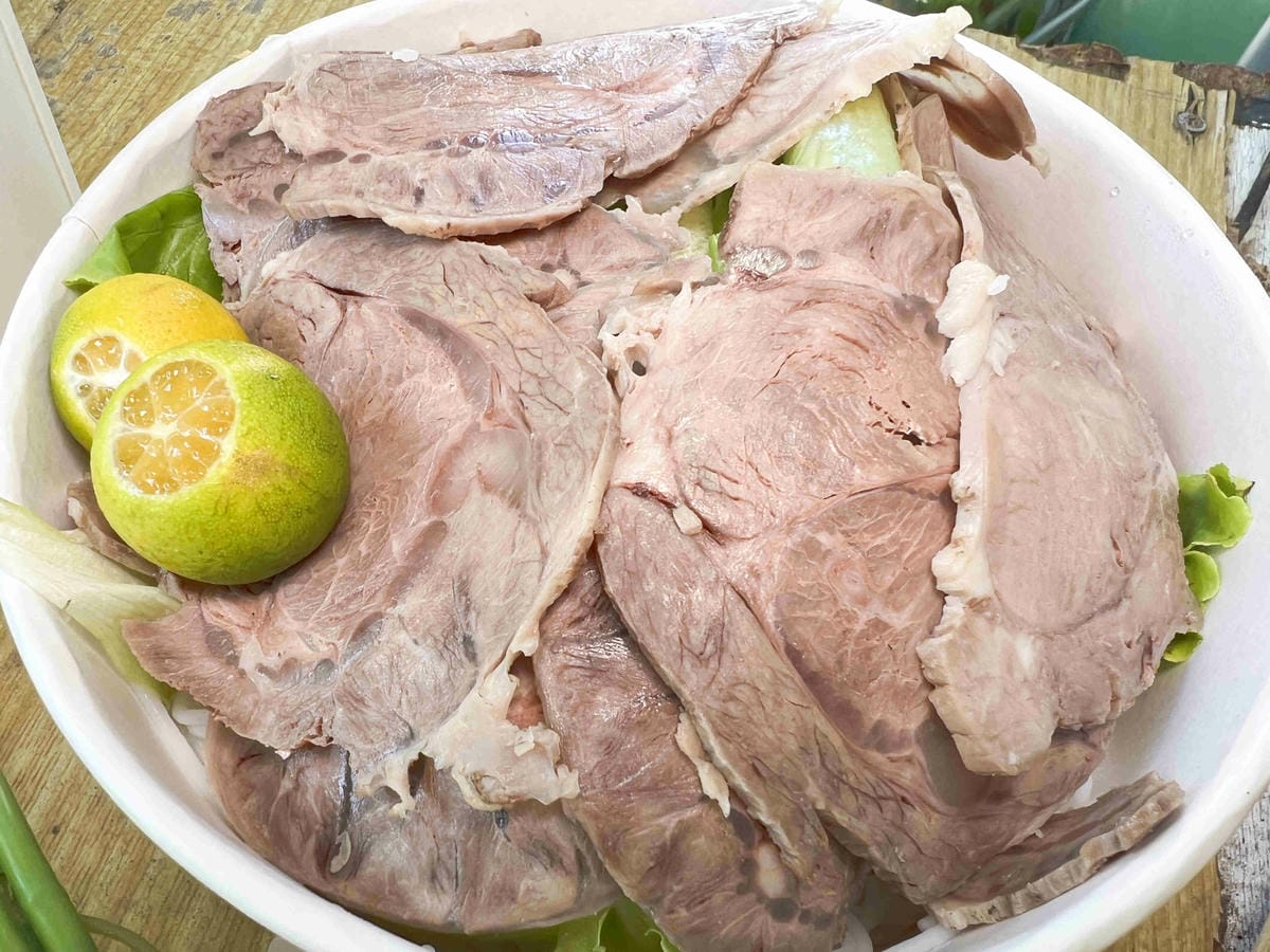 NEMO (13).jpg NEMO (13).jpg