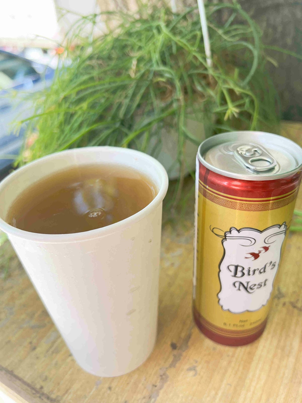 NEMO (16).jpg NEMO (16).jpg