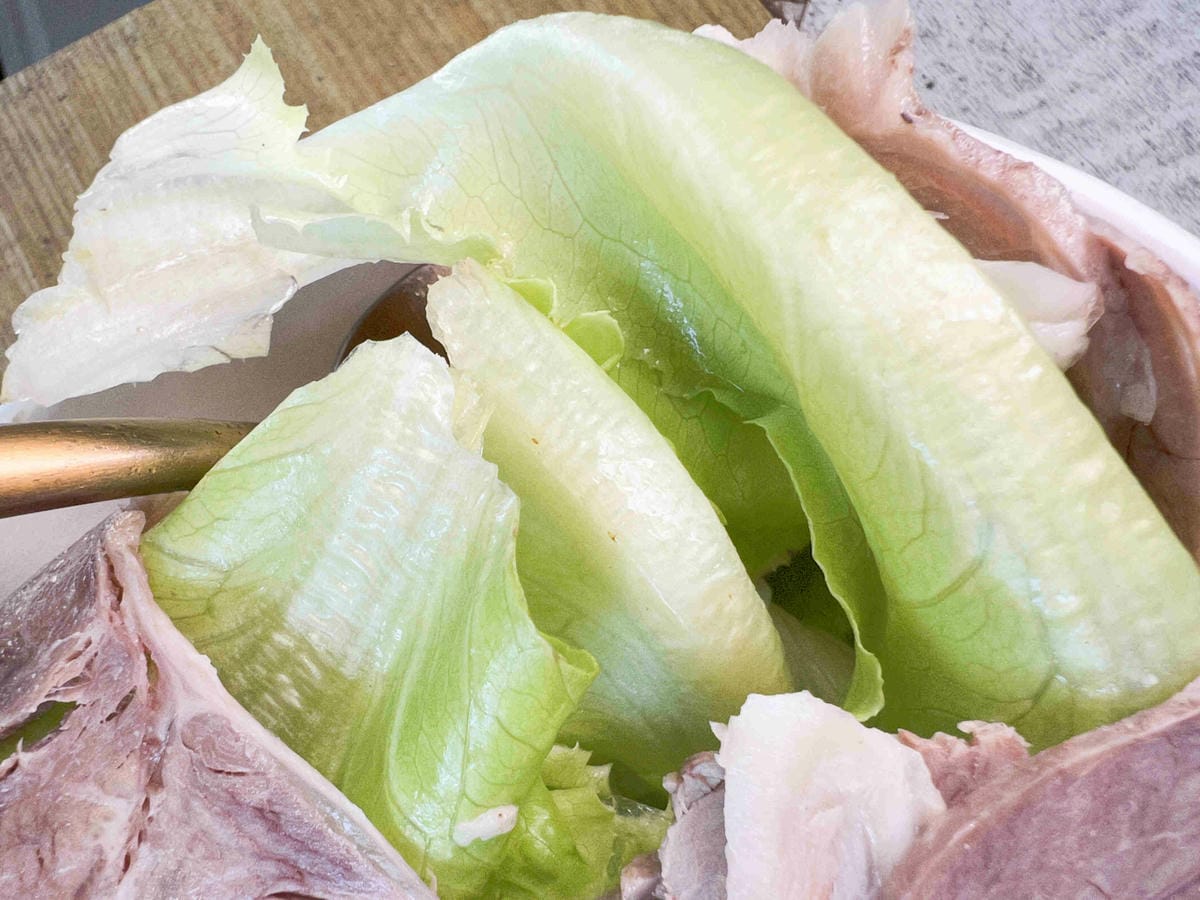 NEMO (26).jpg NEMO (26).jpg