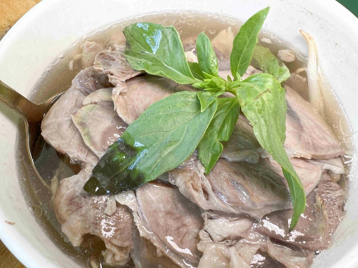 NEMO (24).jpg NEMO (24).jpg