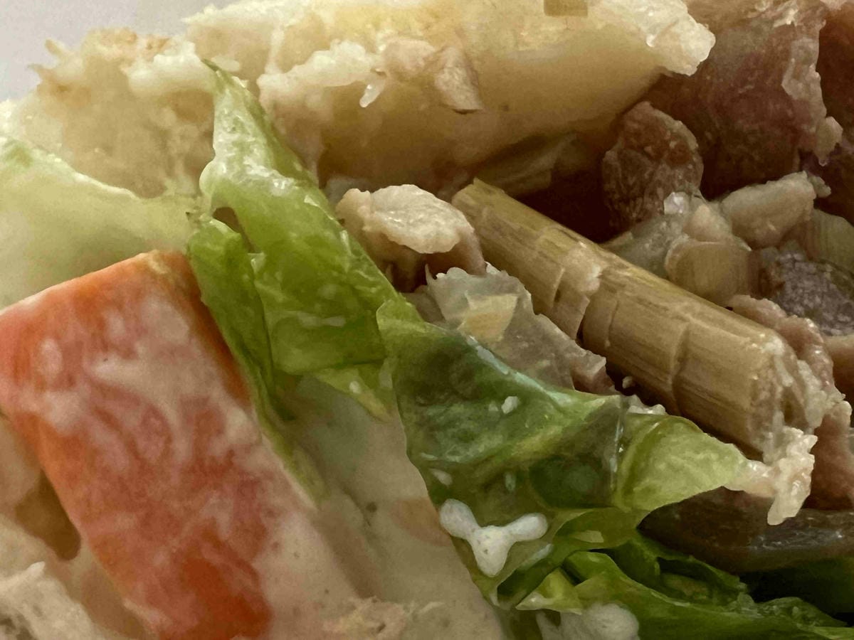 NEMO (35).jpg NEMO (35).jpg