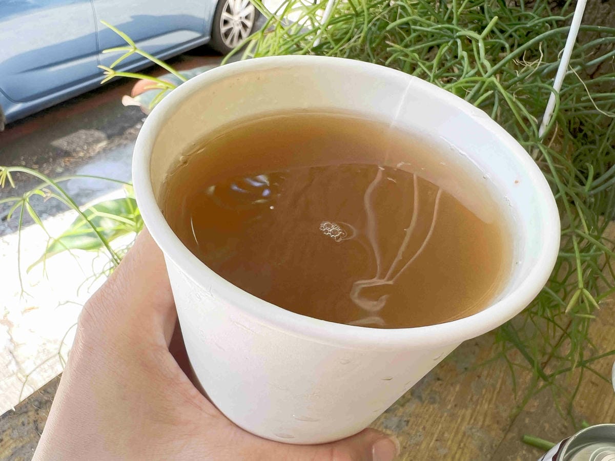 NEMO (17).jpg NEMO (17).jpg