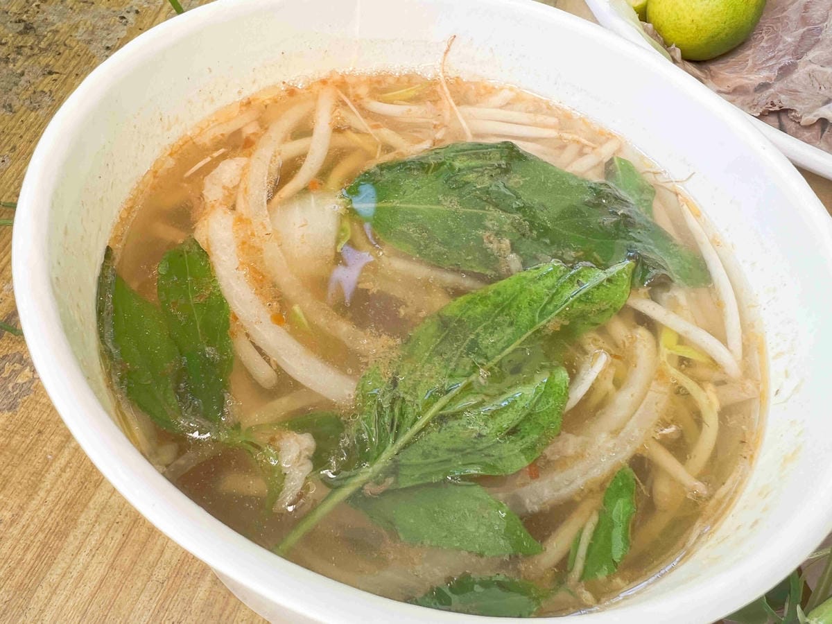 NEMO (11).jpg NEMO (11).jpg