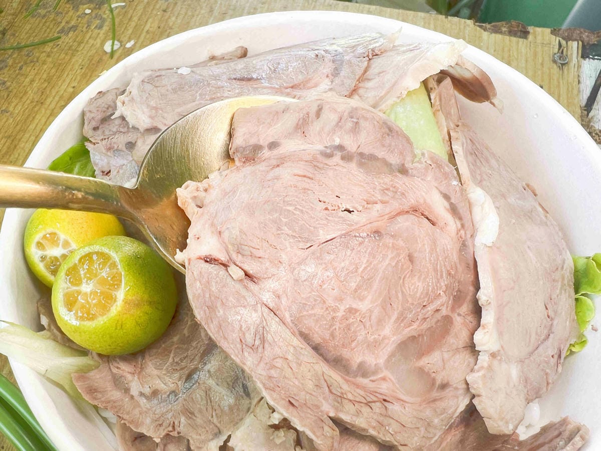 NEMO (22).jpg NEMO (22).jpg