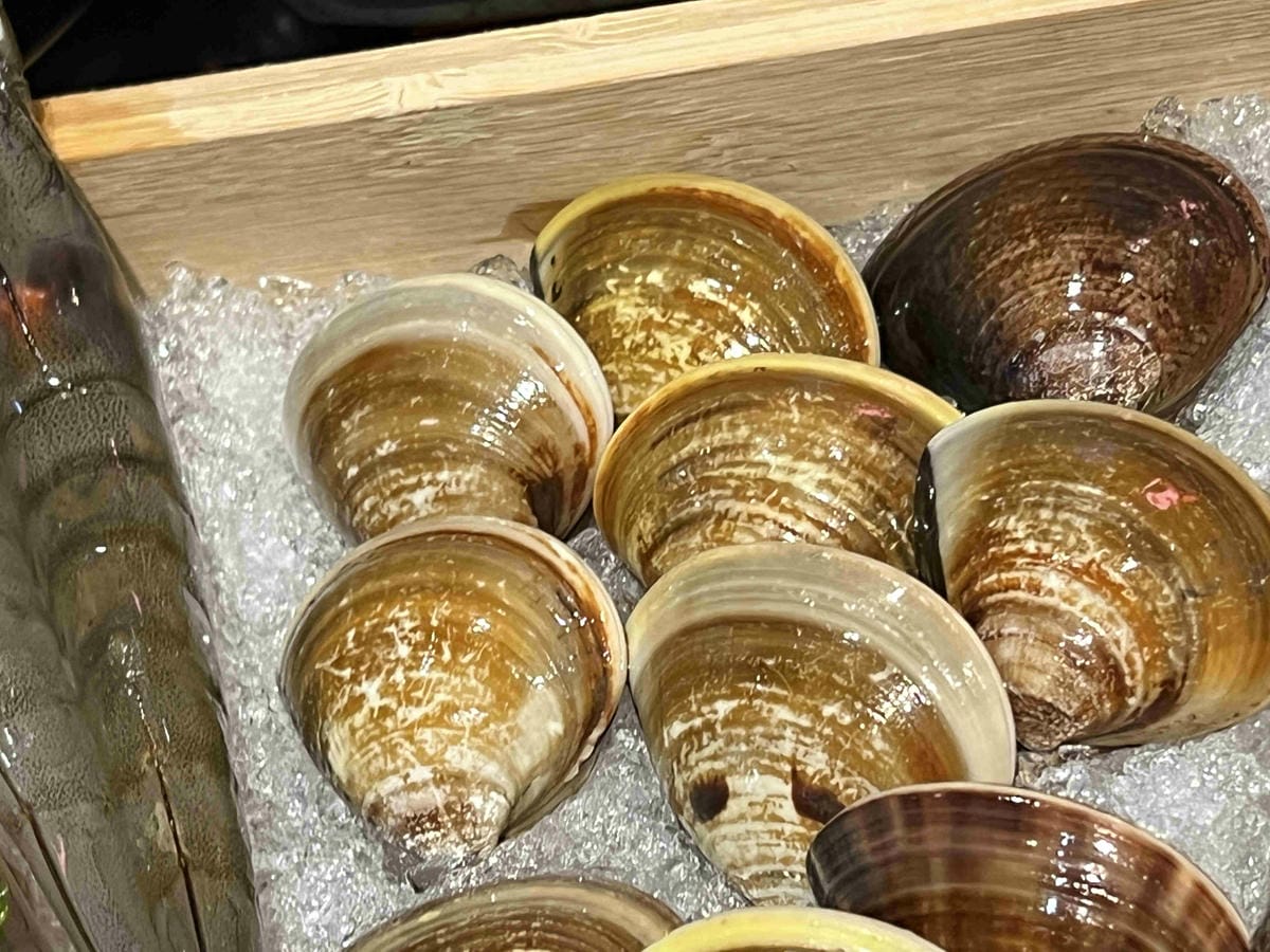 樂野鍋物 (72).jpg 樂野鍋物 (72).jpg