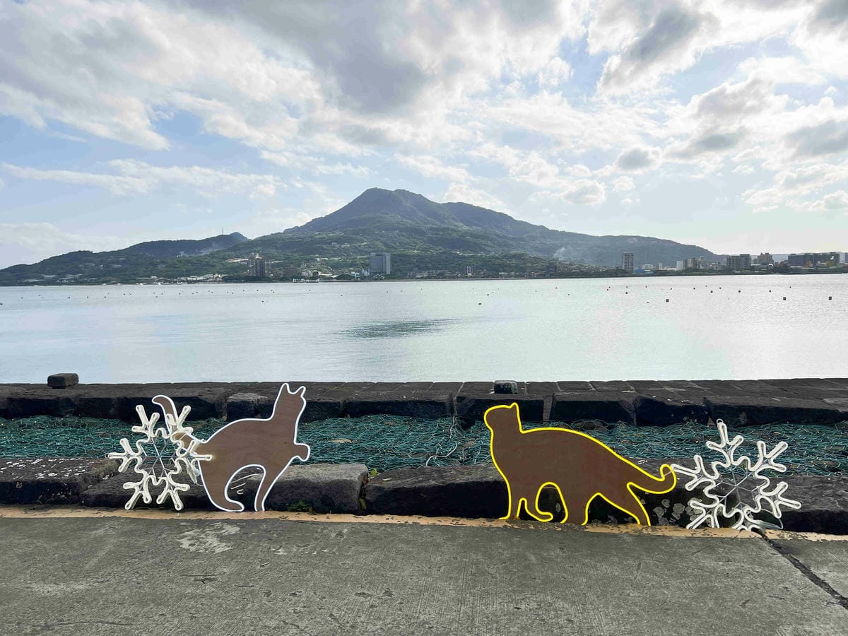 光映淡水喵的光波 (29).jpg 光映淡水喵的光波 (29).jpg