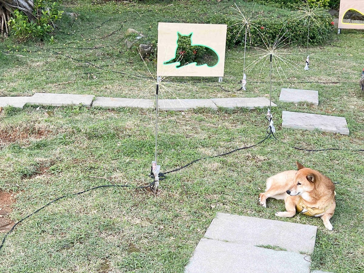 光映淡水喵的光波 (63).jpg 光映淡水喵的光波 (63).jpg