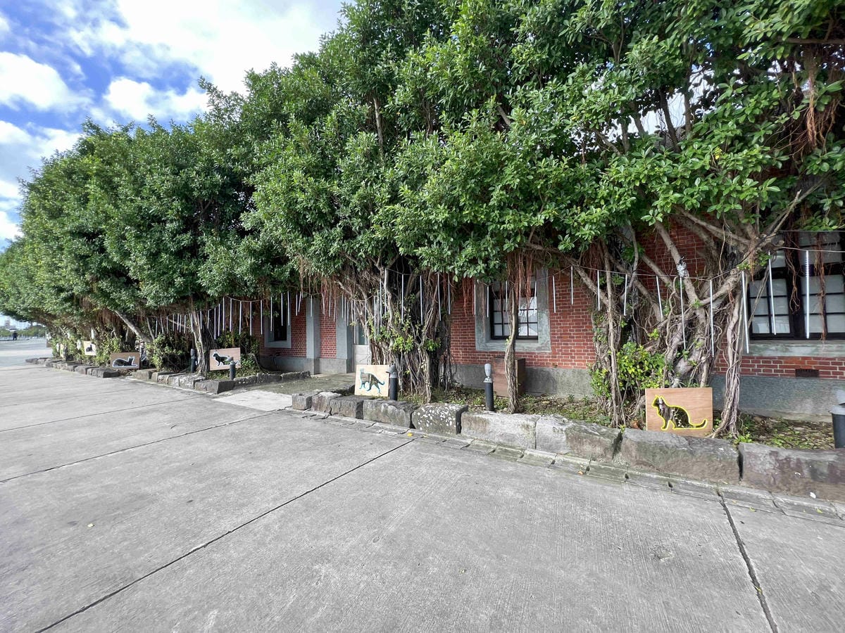 光映淡水喵的光波 (33).jpg 光映淡水喵的光波 (33).jpg