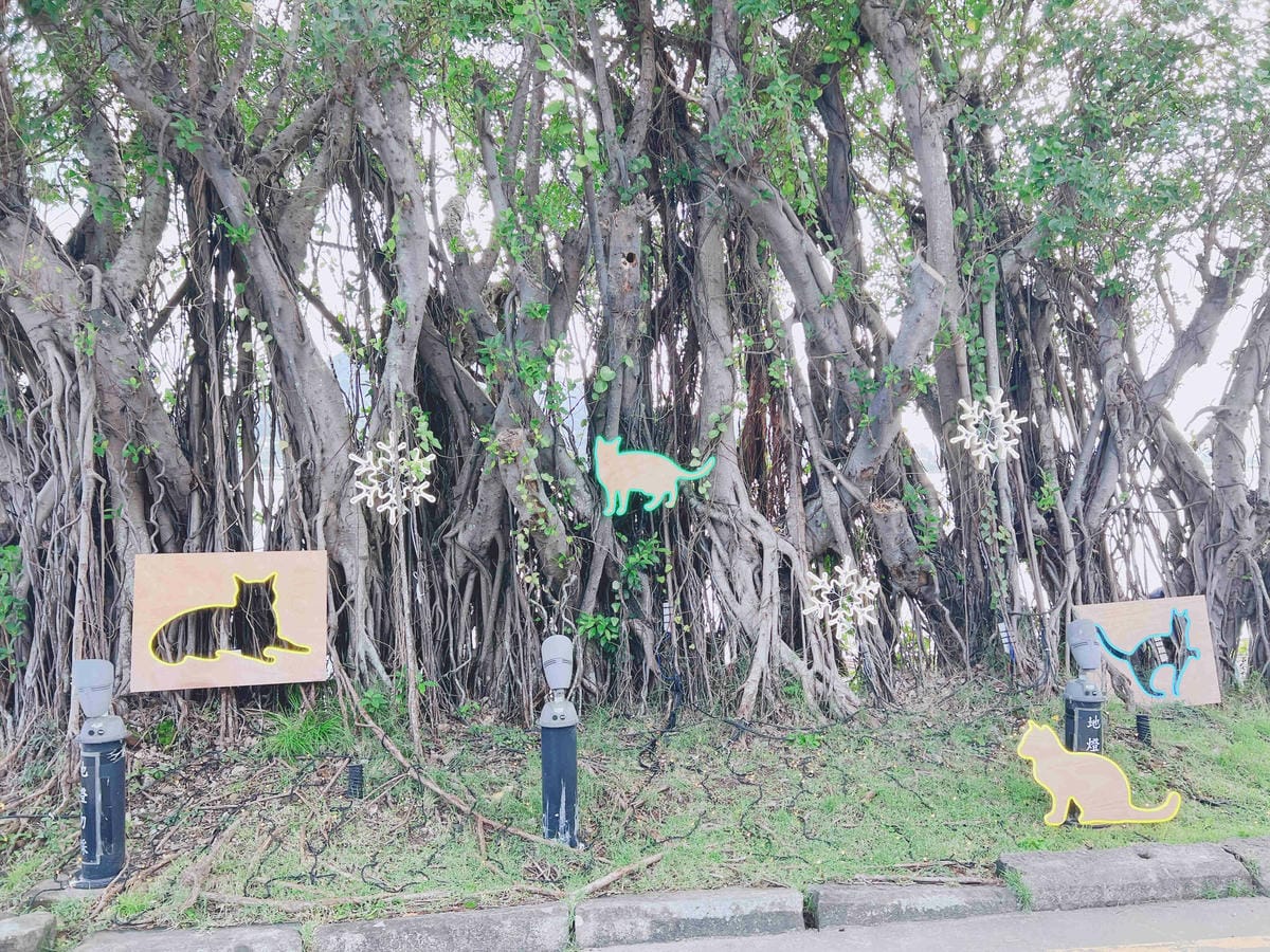 光映淡水喵的光波 (36).jpg 光映淡水喵的光波 (36).jpg