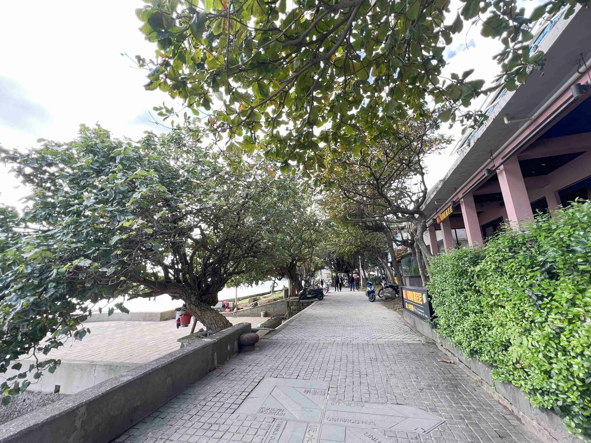 光映淡水喵的光波 (9).jpg 光映淡水喵的光波 (9).jpg