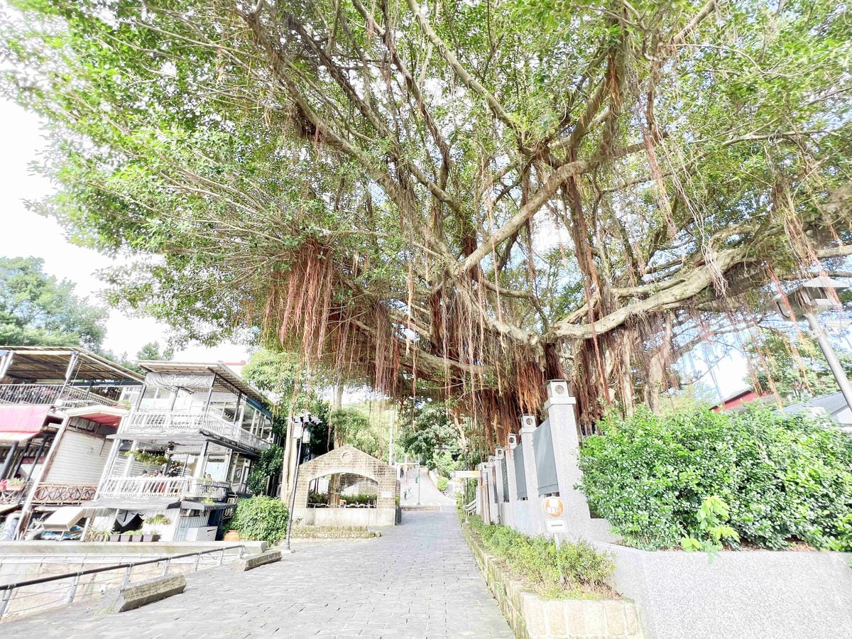 光映淡水喵的光波 (106).jpg 光映淡水喵的光波 (106).jpg