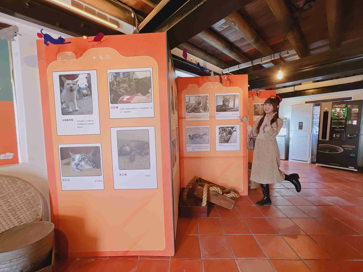 光映淡水喵的光波 (59).jpg 光映淡水喵的光波 (59).jpg