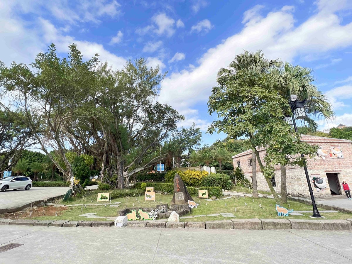 光映淡水喵的光波 (35).jpg 光映淡水喵的光波 (35).jpg