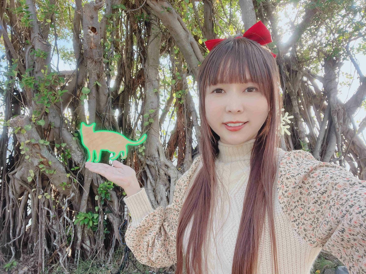 光映淡水喵的光波 (65).jpg 光映淡水喵的光波 (65).jpg