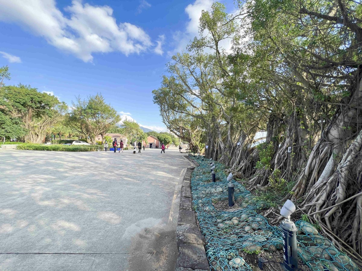 光映淡水喵的光波 (64).jpg 光映淡水喵的光波 (64).jpg