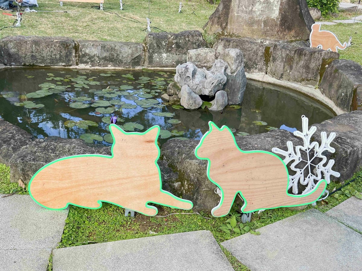 光映淡水喵的光波 (62).jpg 光映淡水喵的光波 (62).jpg