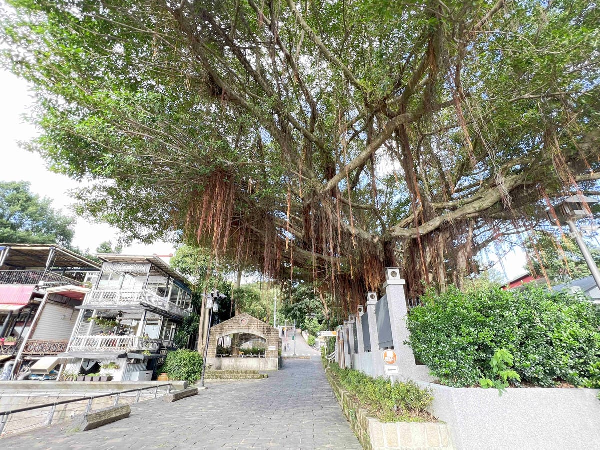 光映淡水喵的光波 (10).jpg 光映淡水喵的光波 (10).jpg