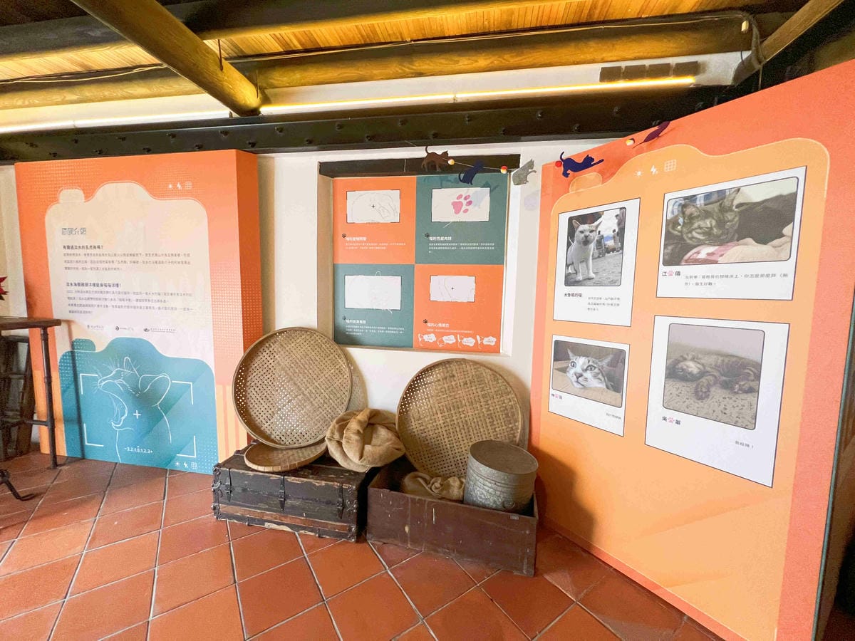 光映淡水喵的光波 (52).jpg 光映淡水喵的光波 (52).jpg