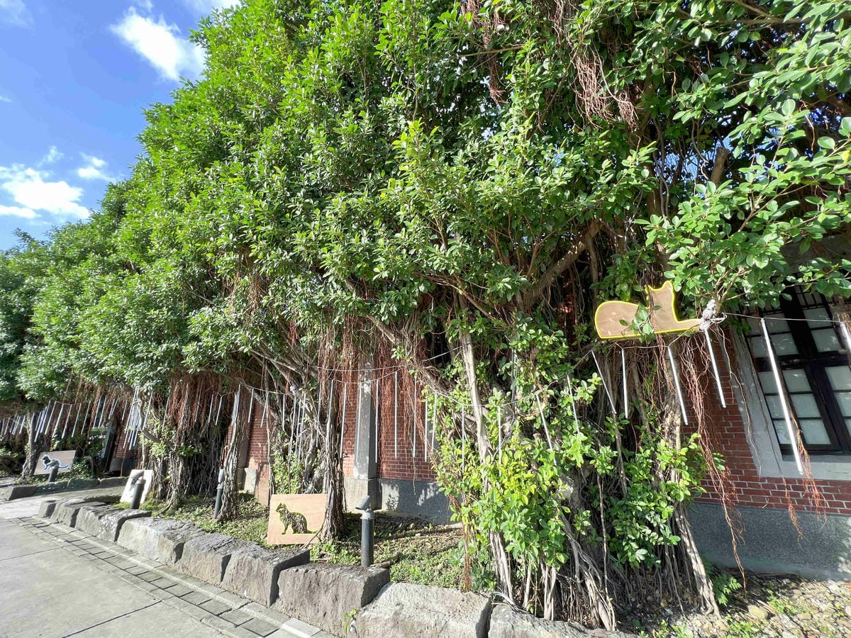 光映淡水喵的光波 (69).jpg 光映淡水喵的光波 (69).jpg