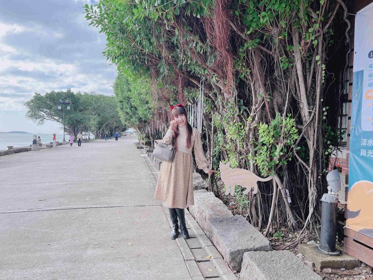 光映淡水喵的光波 (16).jpg 光映淡水喵的光波 (16).jpg