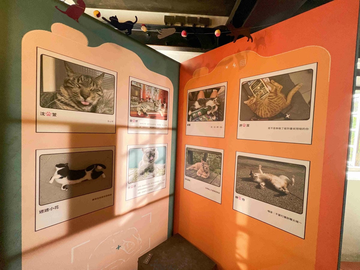 光映淡水喵的光波 (54).jpg 光映淡水喵的光波 (54).jpg