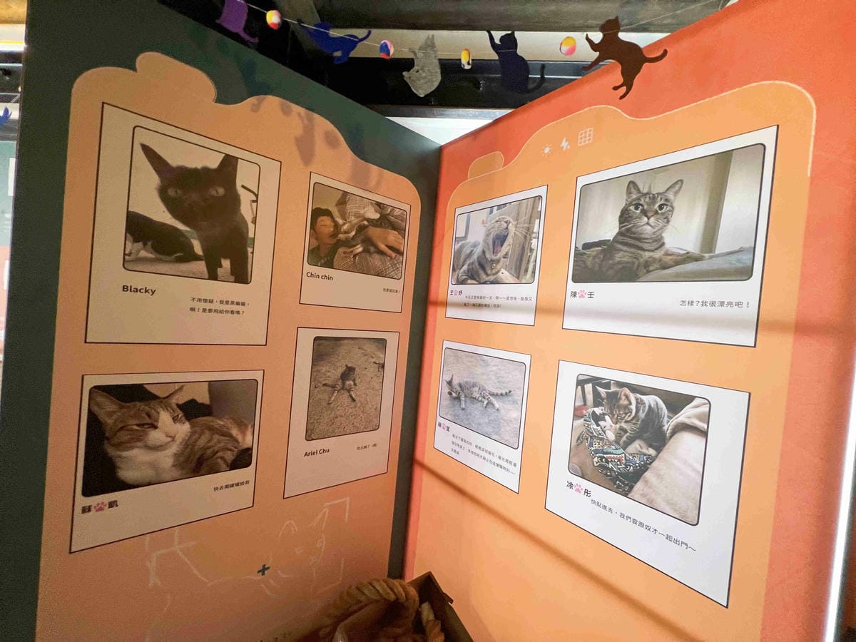 光映淡水喵的光波 (55).jpg 光映淡水喵的光波 (55).jpg