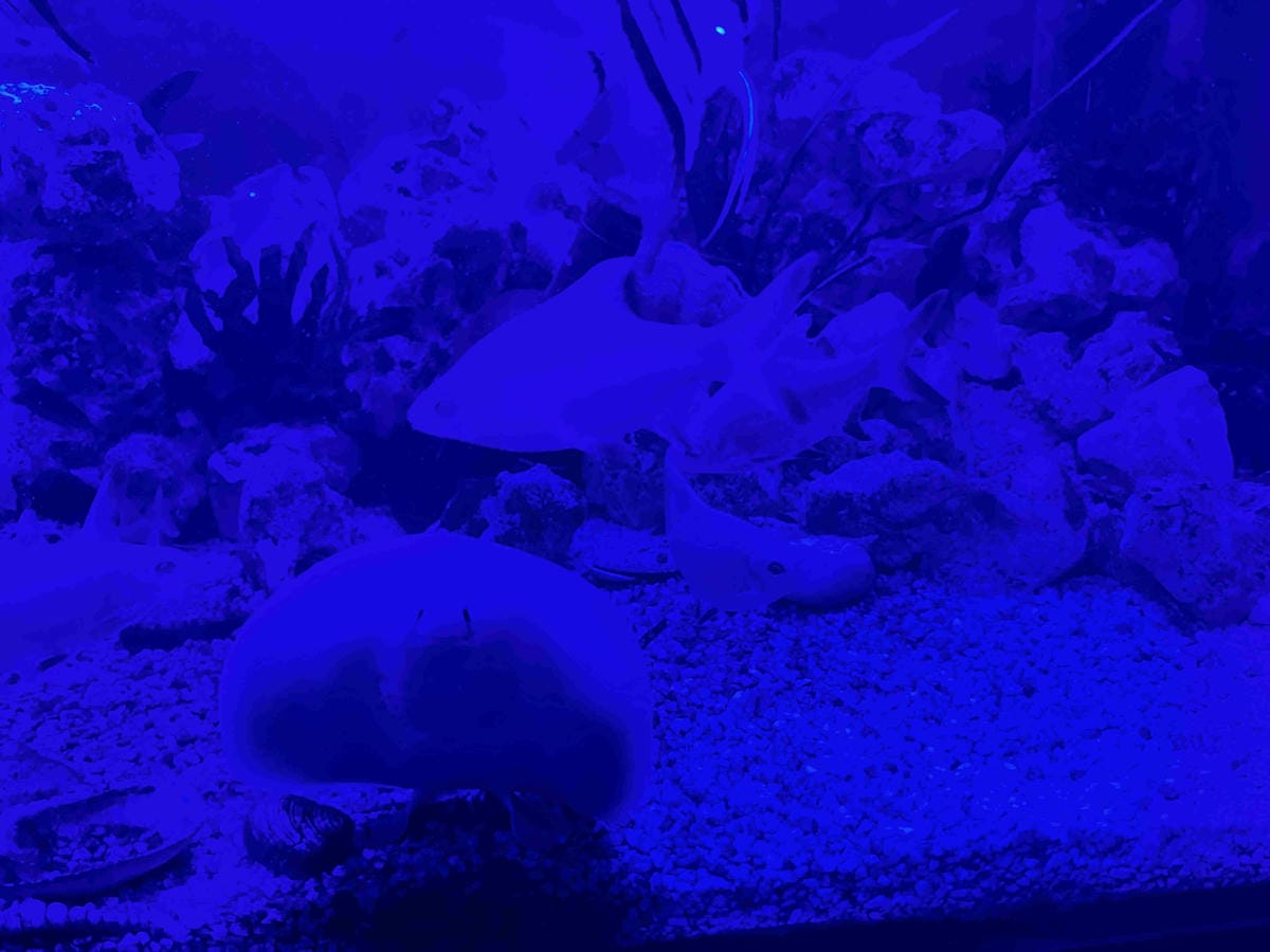 925BRISTRO (74).jpg 925BRISTRO (74).jpg