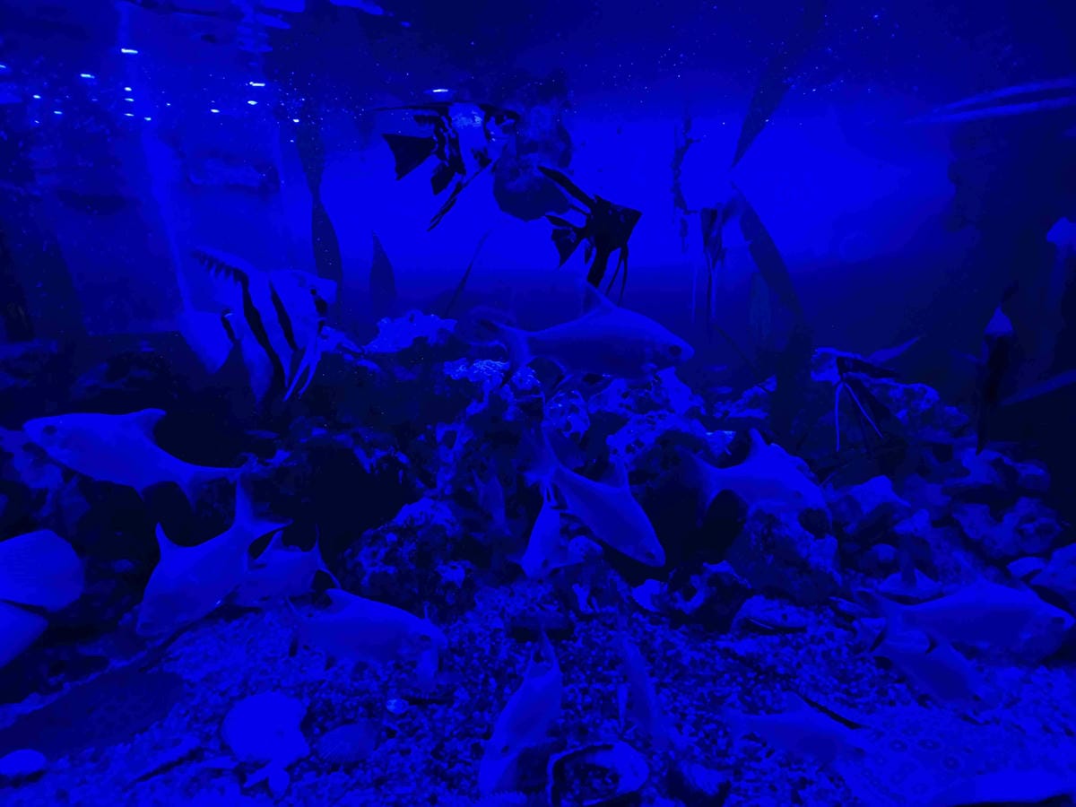 925BRISTRO (72).jpg 925BRISTRO (72).jpg