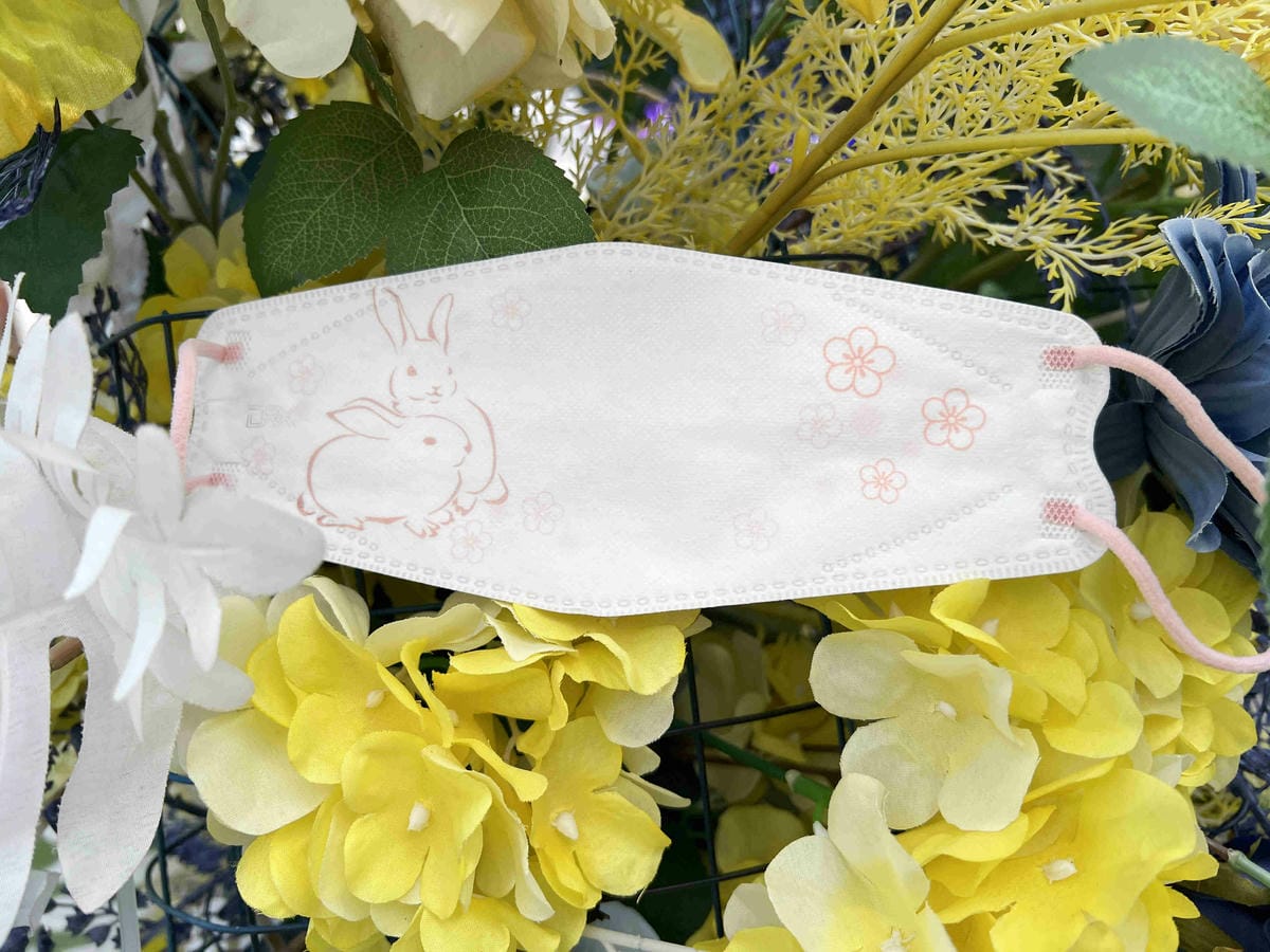 達特世口罩玉兔系列 (46).jpg