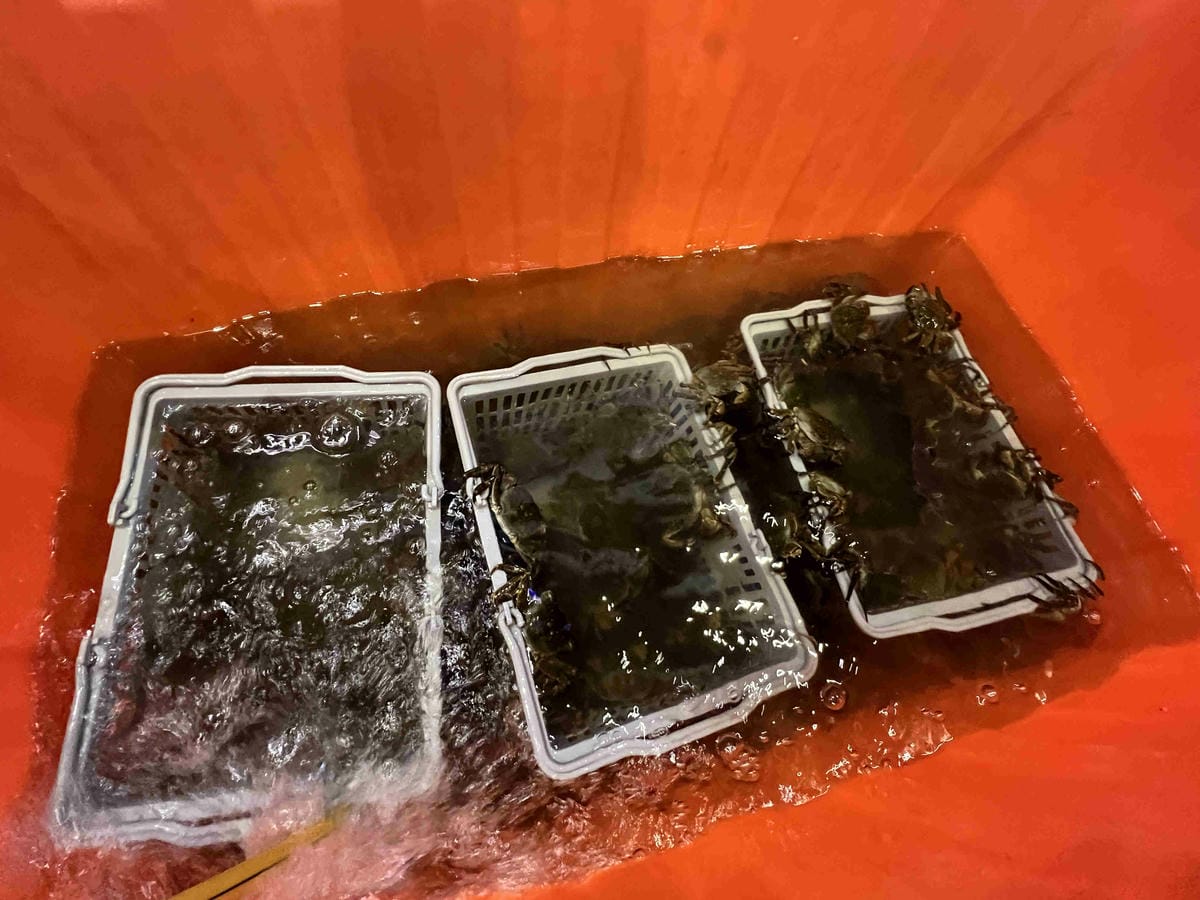 皇家花園烤雞 (30).jpg 皇家花園烤雞 (30).jpg