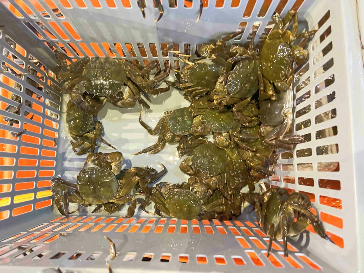 皇家花園烤雞 (12).jpg 皇家花園烤雞 (12).jpg