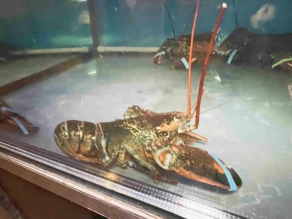 明水然慶城3.jpg 明水然慶城3.jpg