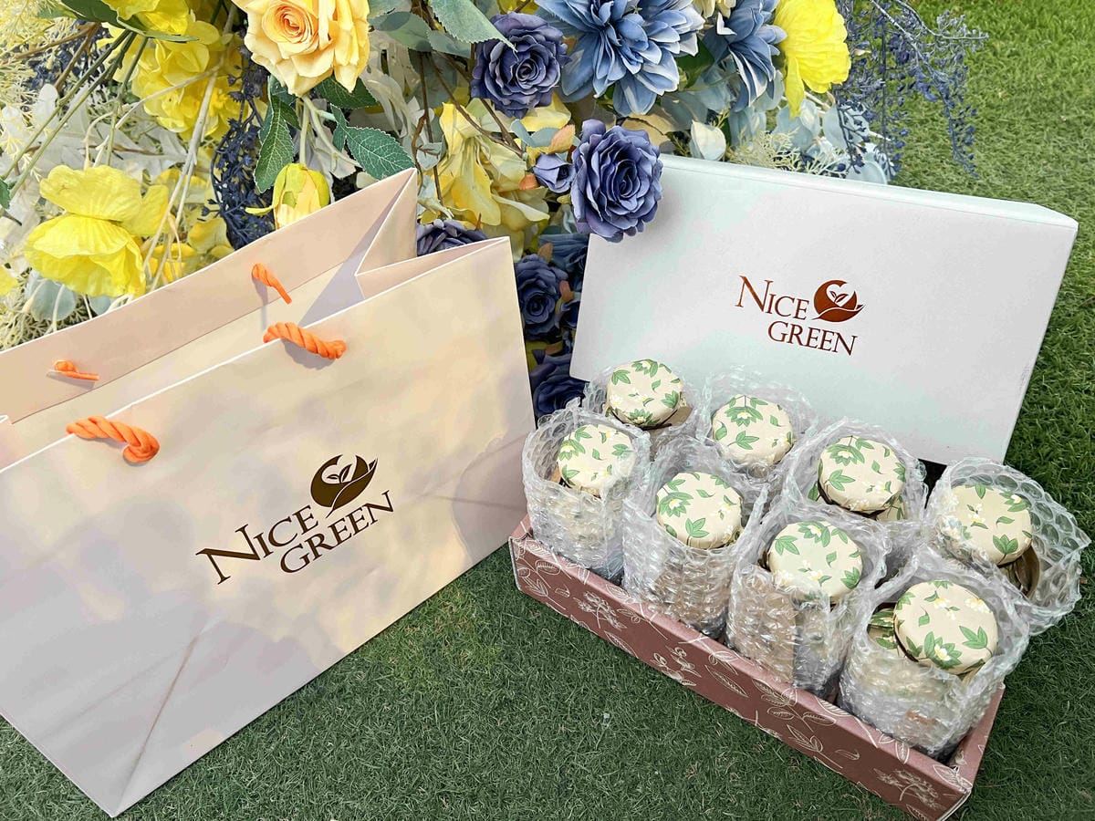 NICEGREEn美蔬菜金線連紅棗黑木耳露 (4).jpg NICEGREEn美蔬菜金線連紅棗黑木耳露 (4).jpg