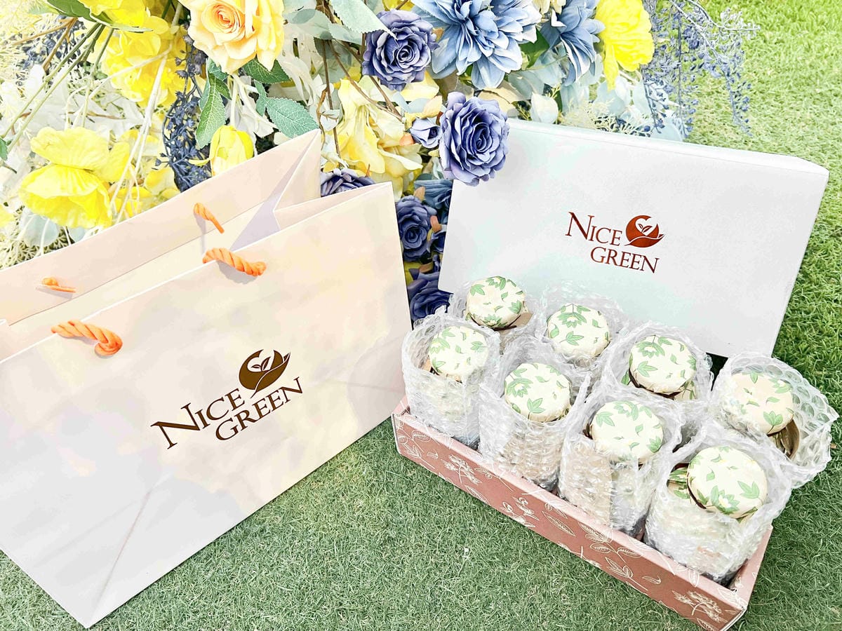 NICEGREEn美蔬菜金線連紅棗黑木耳露 (36).jpg NICEGREEn美蔬菜金線連紅棗黑木耳露 (36).jpg