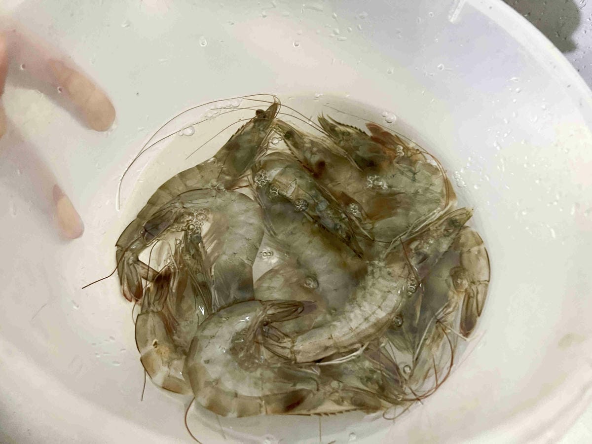 咕咕蝦 (63).jpg 咕咕蝦 (63).jpg