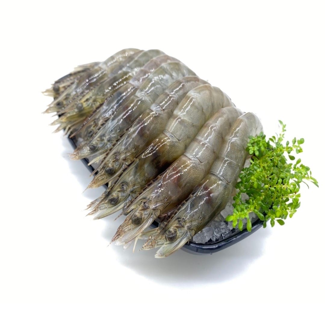 /tmp/phpWcNgYy /tmp/phpWcNgYy