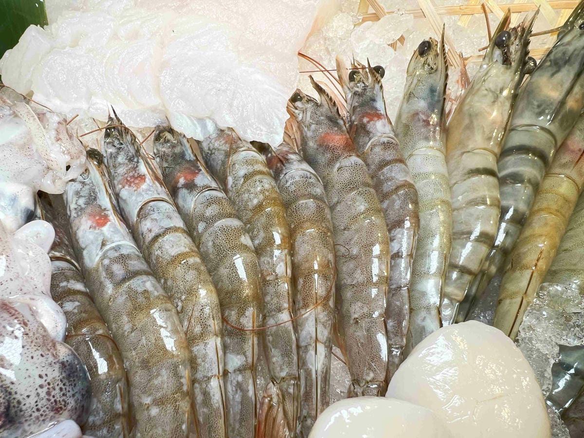 肉多多西門漢中 (61).jpg