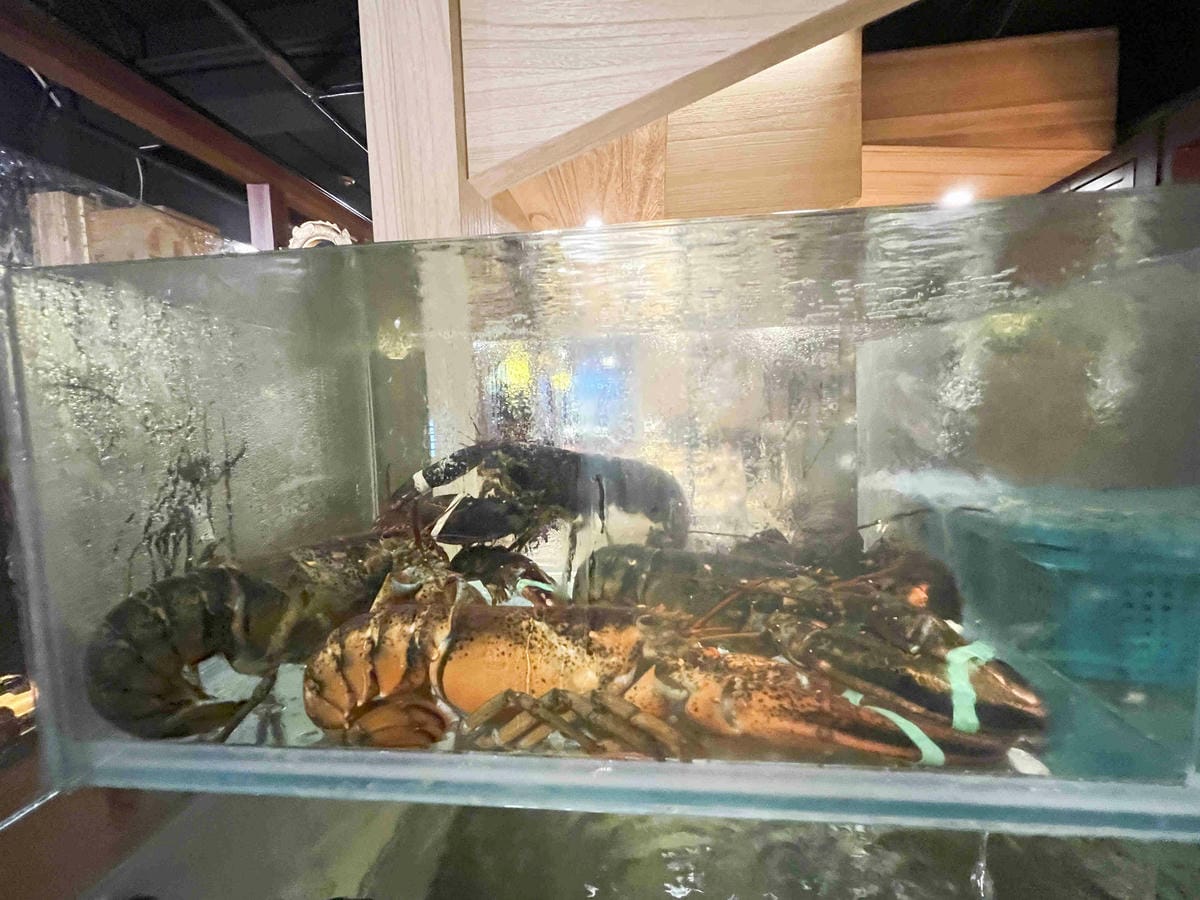 雙囍鍋物 (18).jpg 雙囍鍋物 (18).jpg