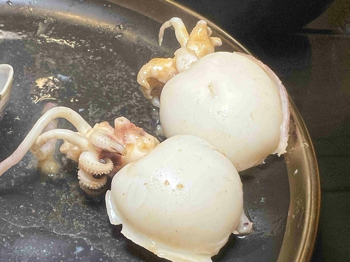 雙囍鍋物 (77).jpg 雙囍鍋物 (77).jpg