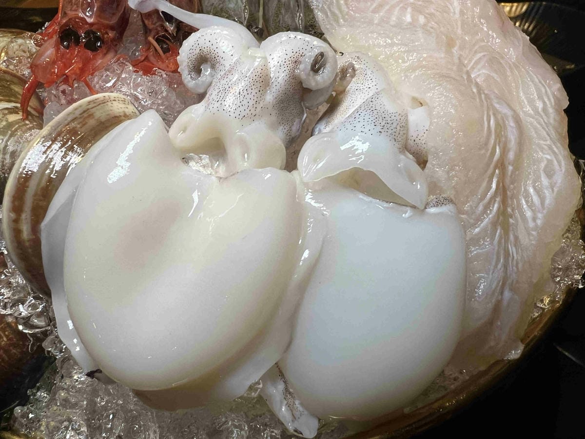 雙囍鍋物 (52).jpg 雙囍鍋物 (52).jpg