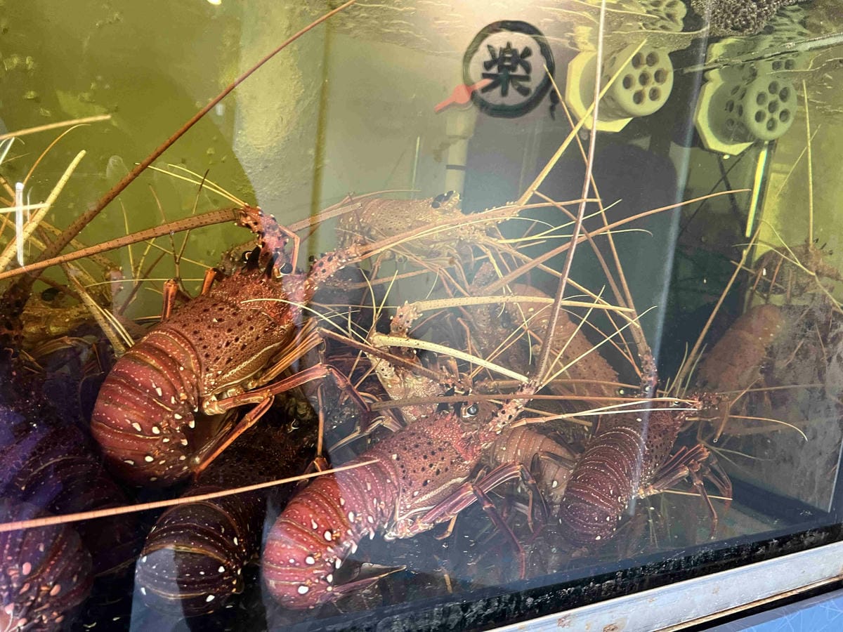 明水然樂新竹 (17).jpg 明水然樂新竹 (17).jpg