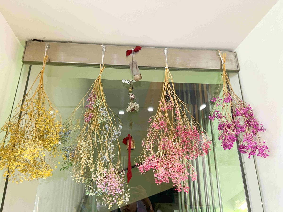 奧苿攝影竹 (17).jpg 奧苿攝影竹 (17).jpg