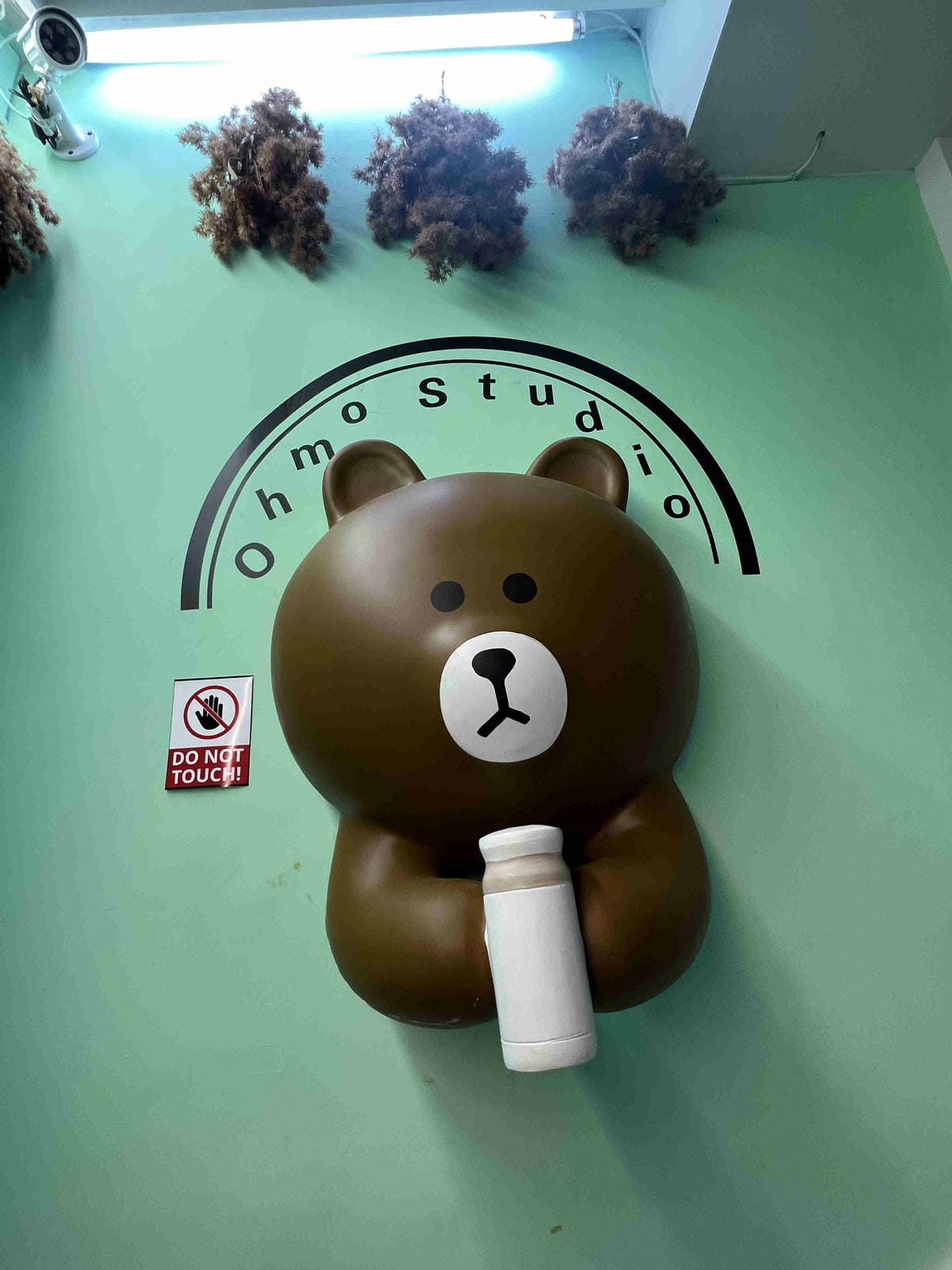 奧苿攝影竹 (5).jpg 奧苿攝影竹 (5).jpg