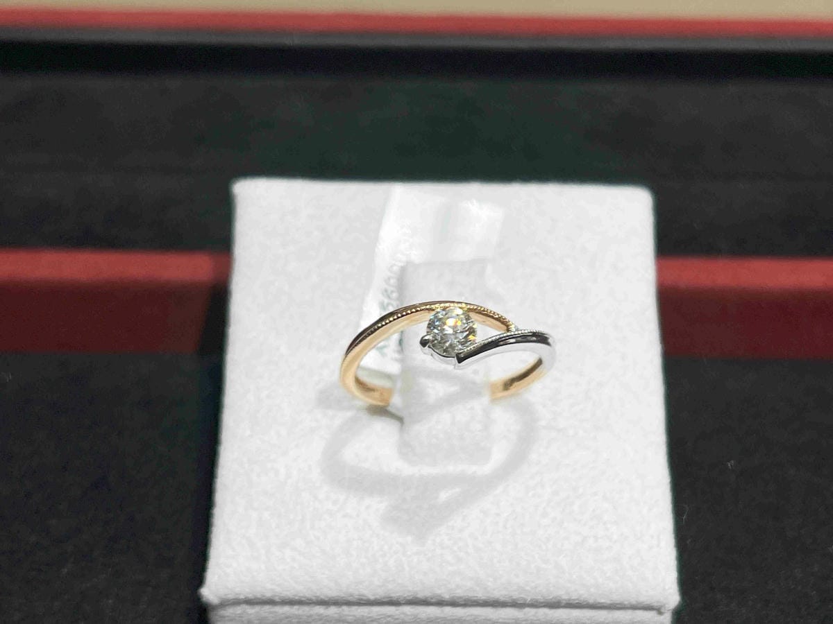 法蝶 (33).jpg 法蝶 (33).jpg