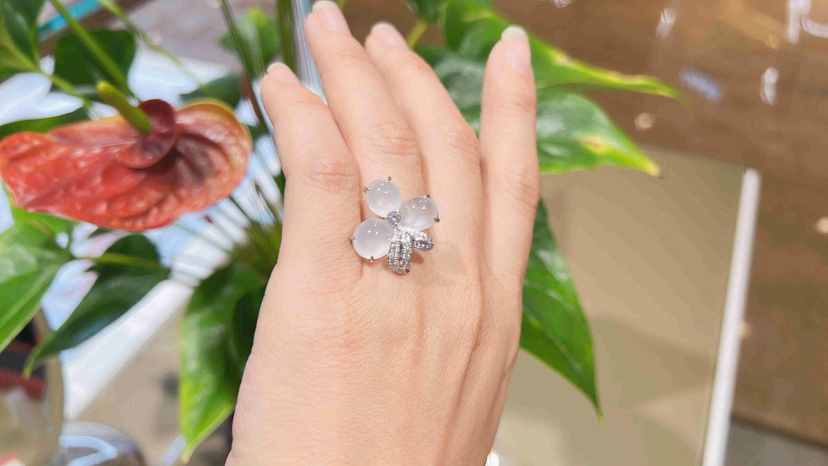 法蝶 (38).jpg 法蝶 (38).jpg