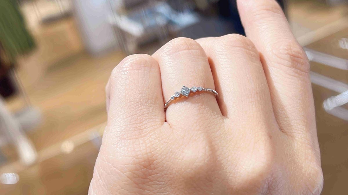 法蝶 (7).jpg 法蝶 (7).jpg