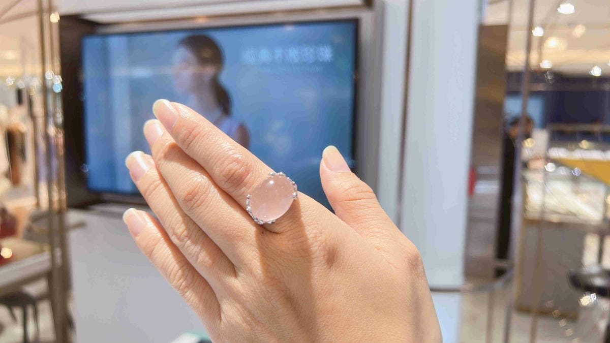 法蝶 (48).jpg 法蝶 (48).jpg